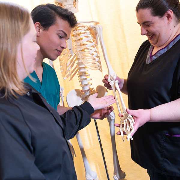 3 Two NIMAA preceptors show a NIMAA student a bone structure on a skeleton in a clinic